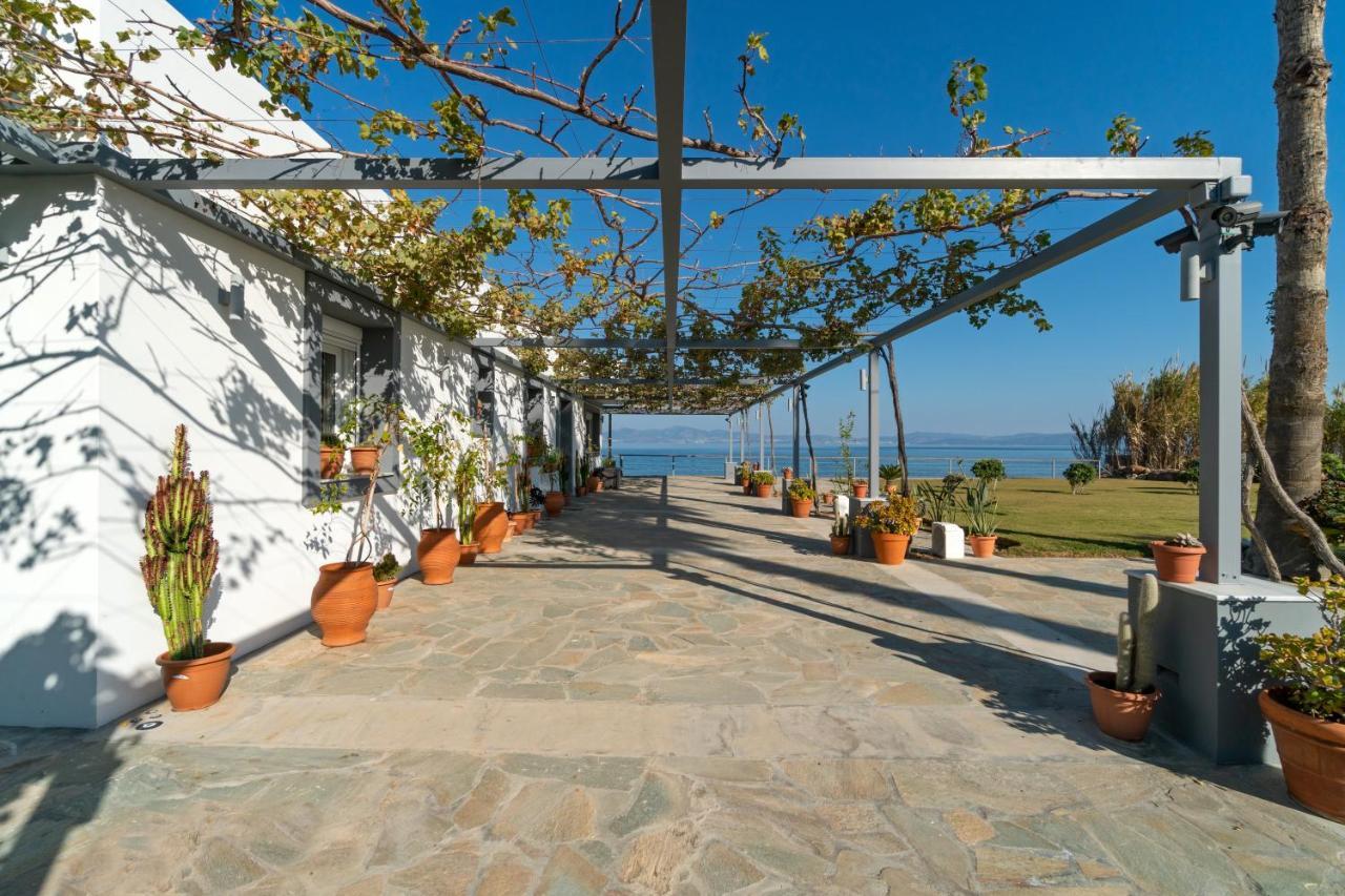 Seaside Private Beach Paradise بلدة كوس المظهر الخارجي الصورة